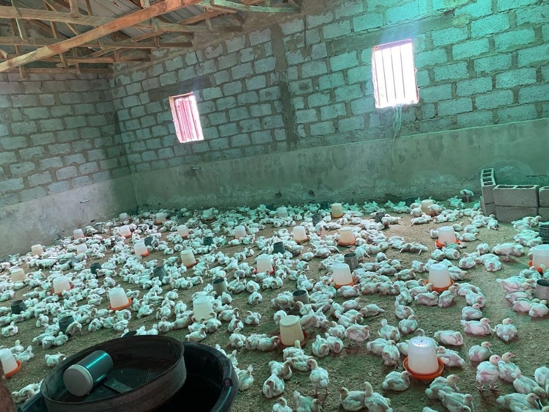 WhatsApp Image 2025-05-16 at 04.50.05