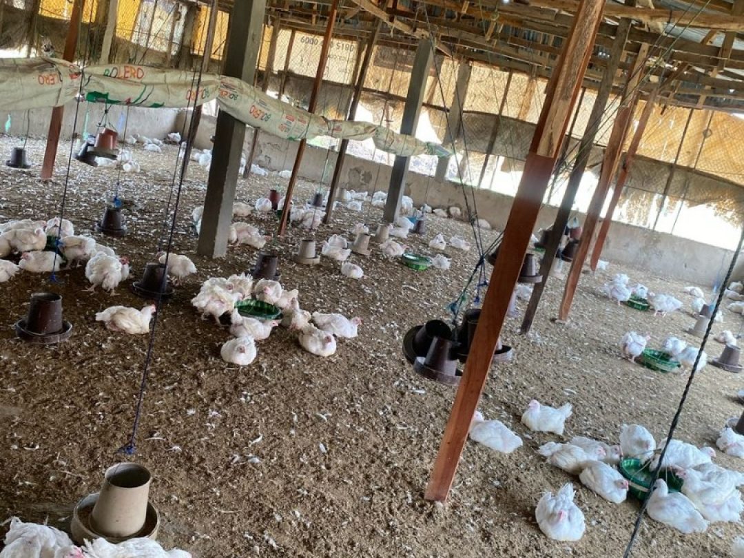 WhatsApp Image 2025-05-16 at 04.50.18